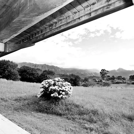 Appartement Turisticos Nieves *