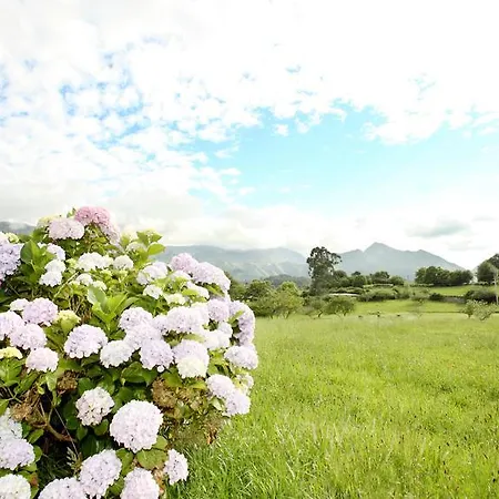 Appartement Turisticos Nieves