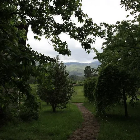 Turisticos Nieves Apartment *