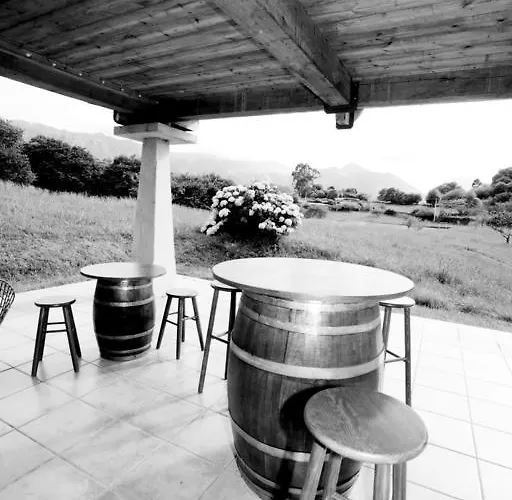 Turísticos Nieves *