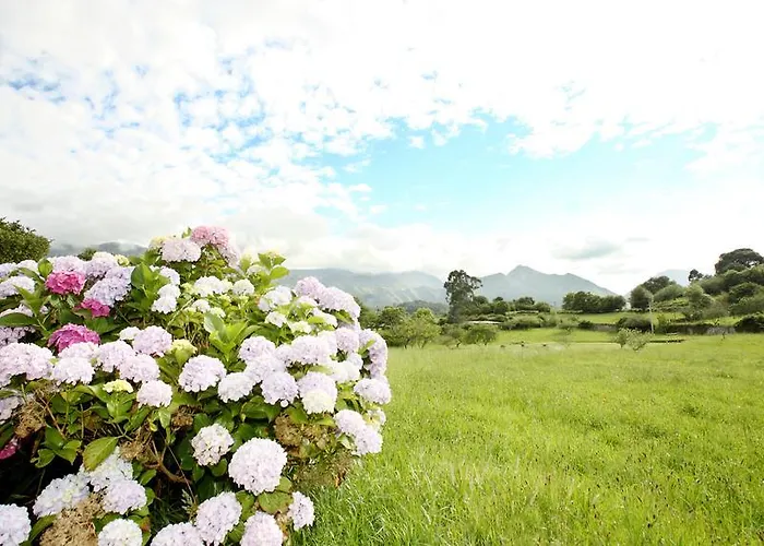Apartamento Turísticos Nieves