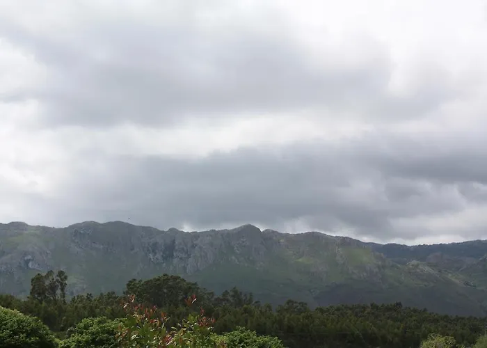 Turísticos Nieves Apartamento