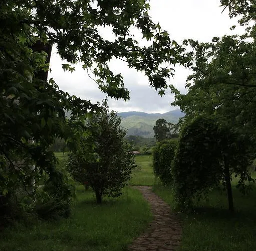 Turísticos Nieves Apartamento *