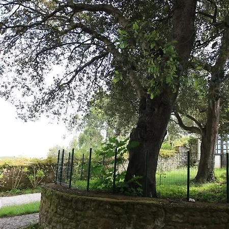 Apartamento Turísticos Nieves